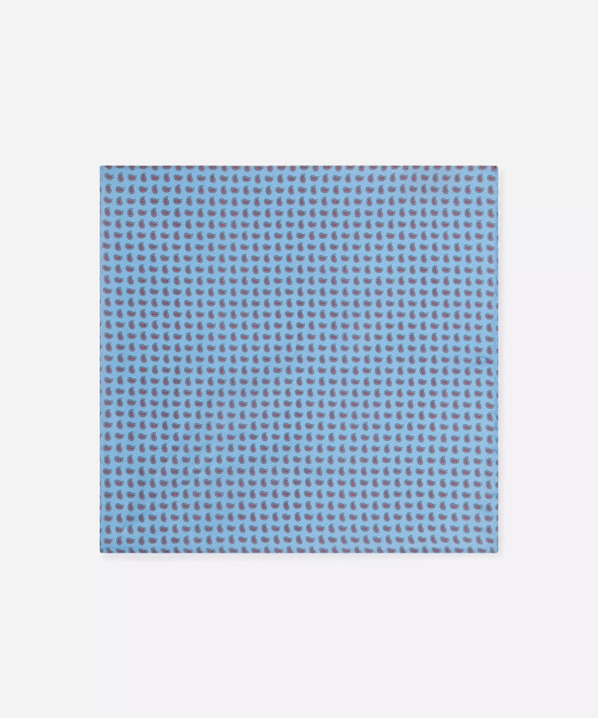 Blue & Pink Small Paisley Motif Silk Printed Pocket Square