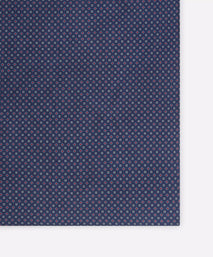 Blue & Red Small Biscuit Motif Silk Printed Pocket Square