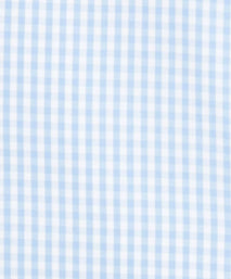 Pale Blue & White Classic Fit Gingham Formal Shirt